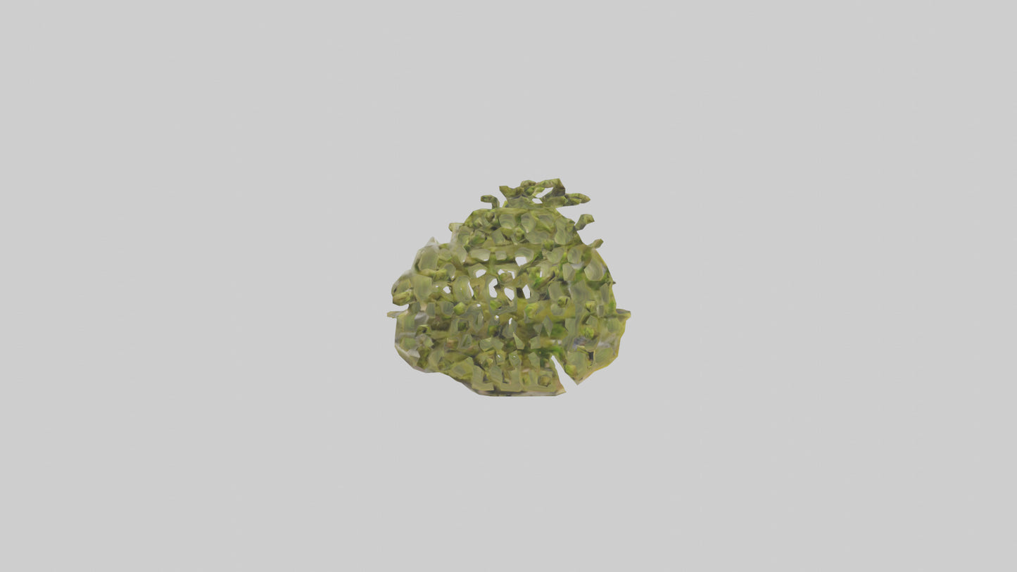 Frozen Asparagus Pack model 3D model