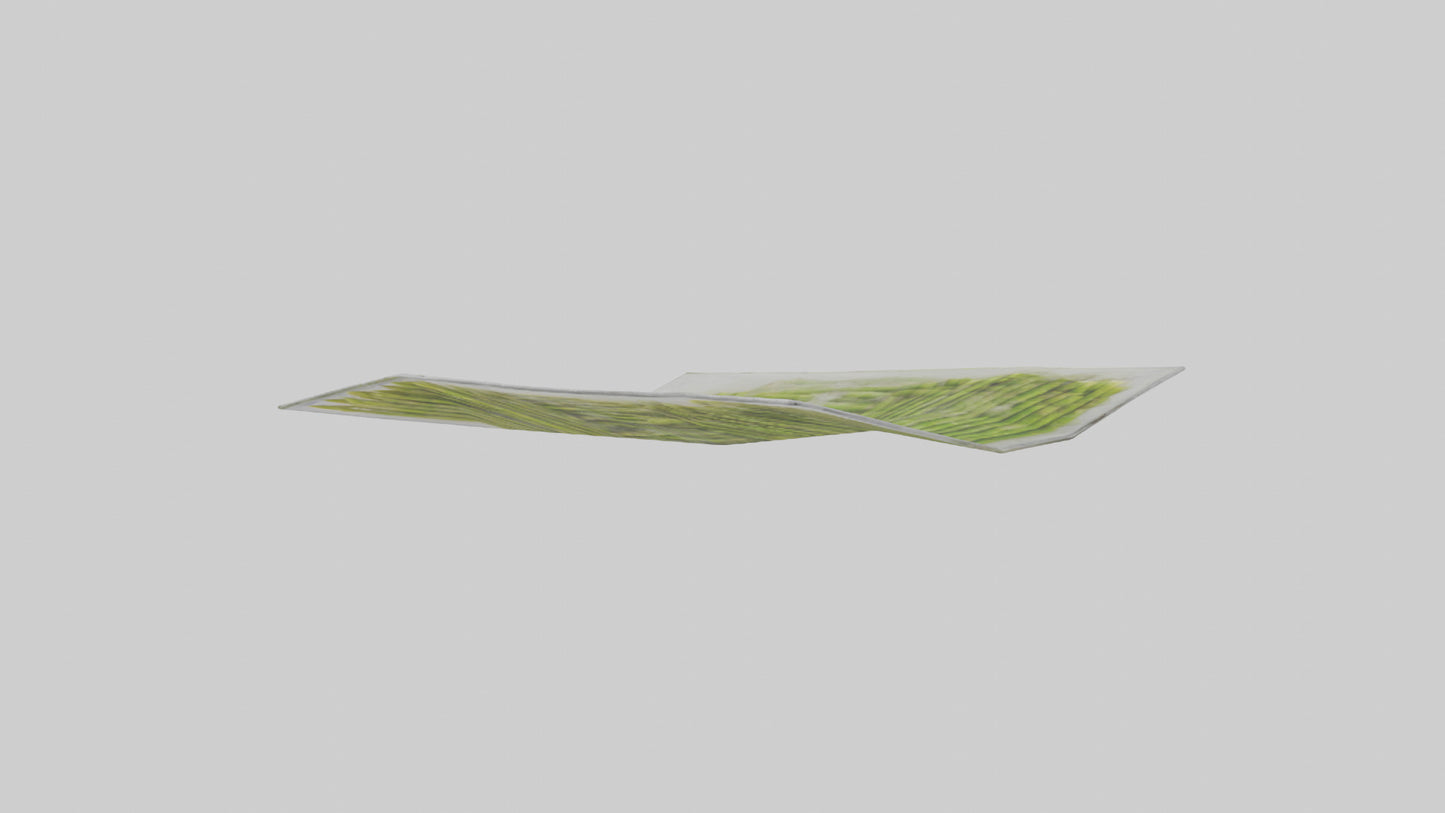 Frozen Asparagus Pack model VR / AR / low-poly