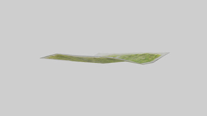 Frozen Asparagus Pack model VR / AR / low-poly