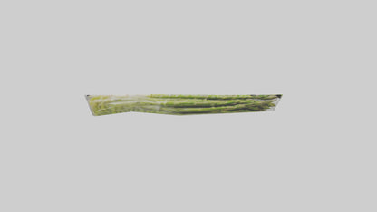 Frozen Asparagus Pack model 3D model