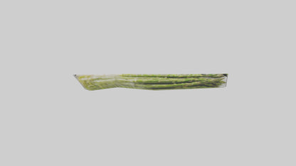 Frozen Asparagus Pack model 3D model