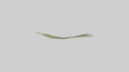 Frozen Asparagus Pack model VR / AR / low-poly