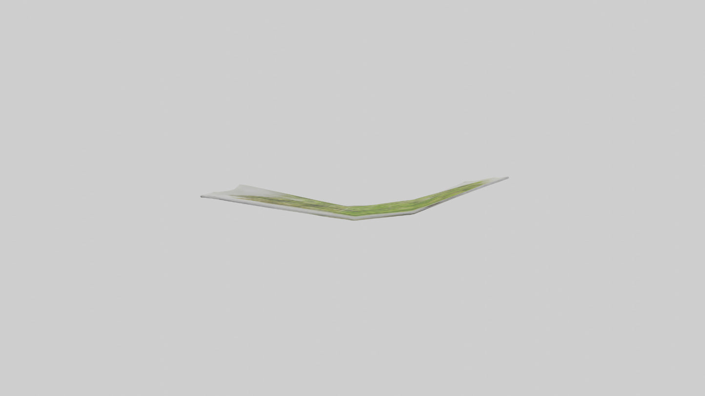 Frozen Asparagus Pack model VR / AR / low-poly