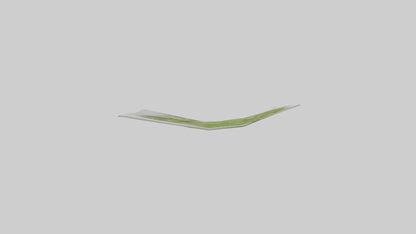 Frozen Asparagus Pack model VR / AR / low-poly
