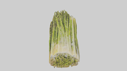 Frozen Asparagus Pack model 3D model