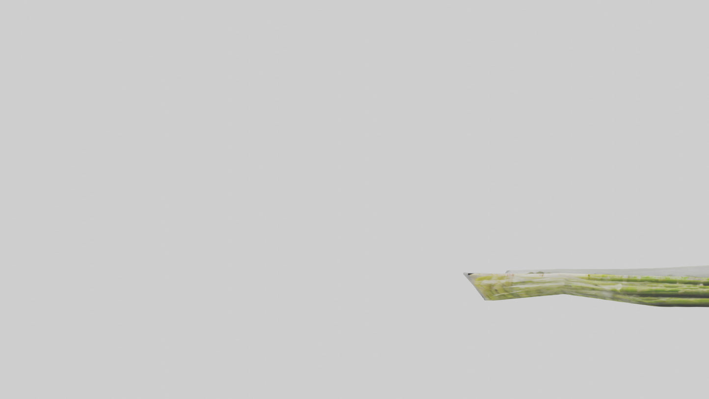 Frozen Asparagus Pack model 3D model