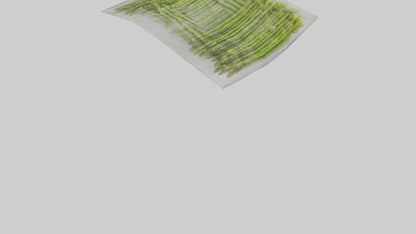 Frozen Asparagus Pack model VR / AR / low-poly