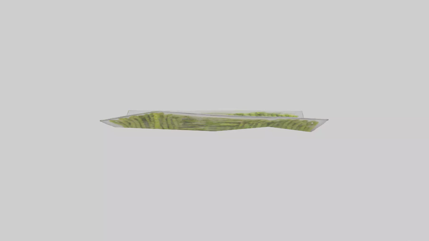 Frozen Asparagus Pack model VR / AR / low-poly