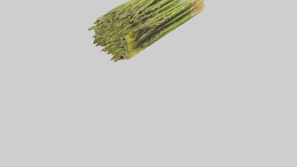Frozen Asparagus Pack model 3D model