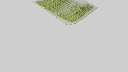 Frozen Asparagus Pack model VR / AR / low-poly