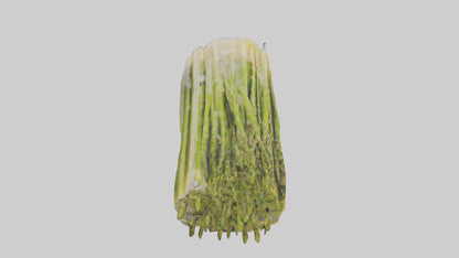 Frozen Asparagus Pack model 3D model