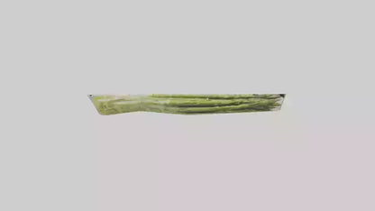 Frozen Asparagus Pack model 3D model