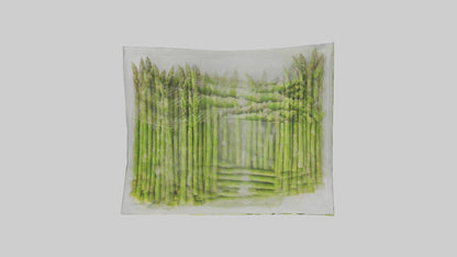 Frozen Asparagus Pack model VR / AR / low-poly