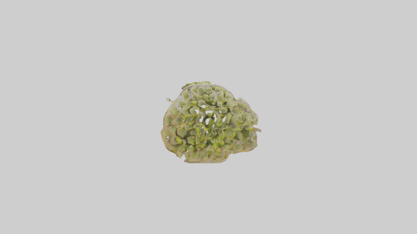 Frozen Asparagus Pack model 3D model