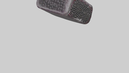 Frozen Blackberries Pack model VR / AR / low-poly