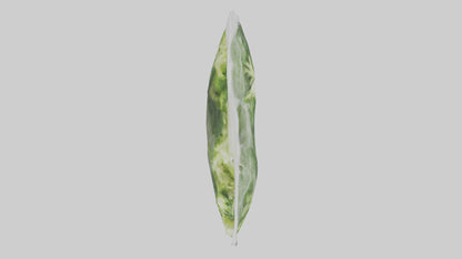 Frozen Broccoli Pack model VR / AR / low-poly