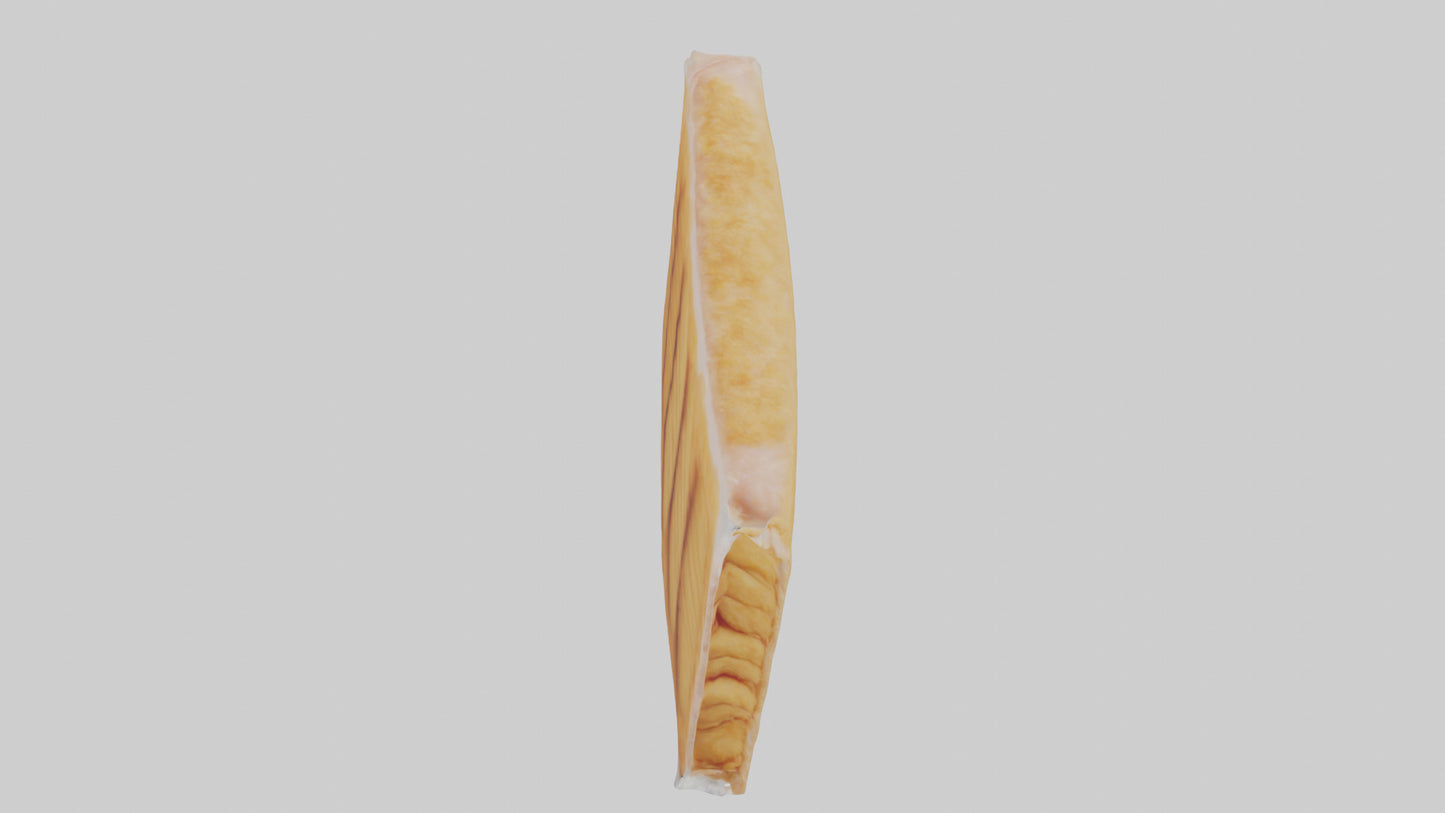 Frozen Chicken Tenders Pack model 3D model
