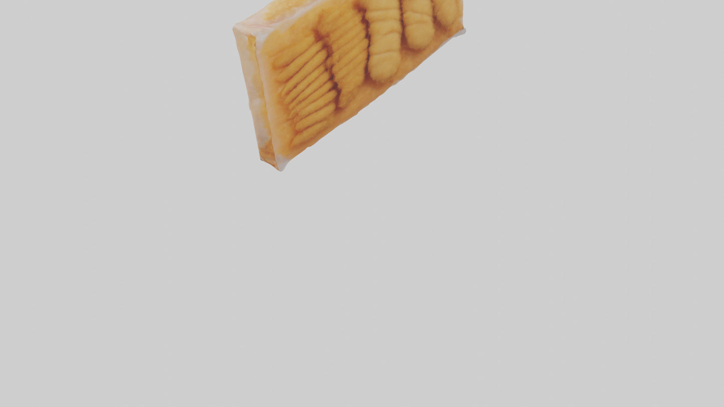 Frozen Chicken Tenders Pack model 3D model
