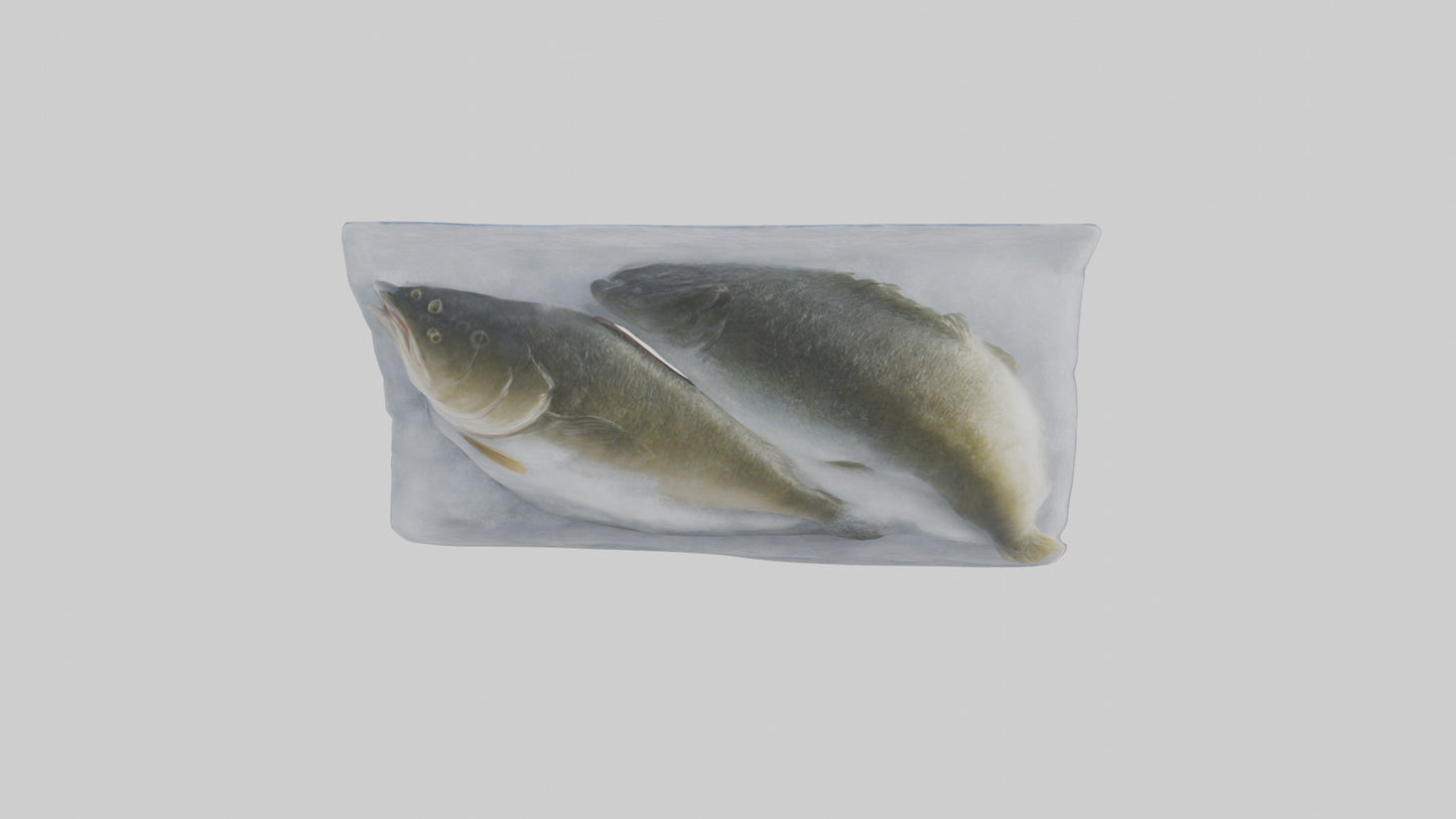 Frozen Cod Pack model 3D model