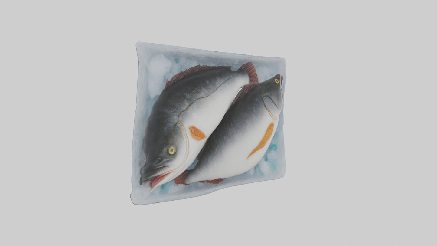 Frozen Cod Pack model 3D model