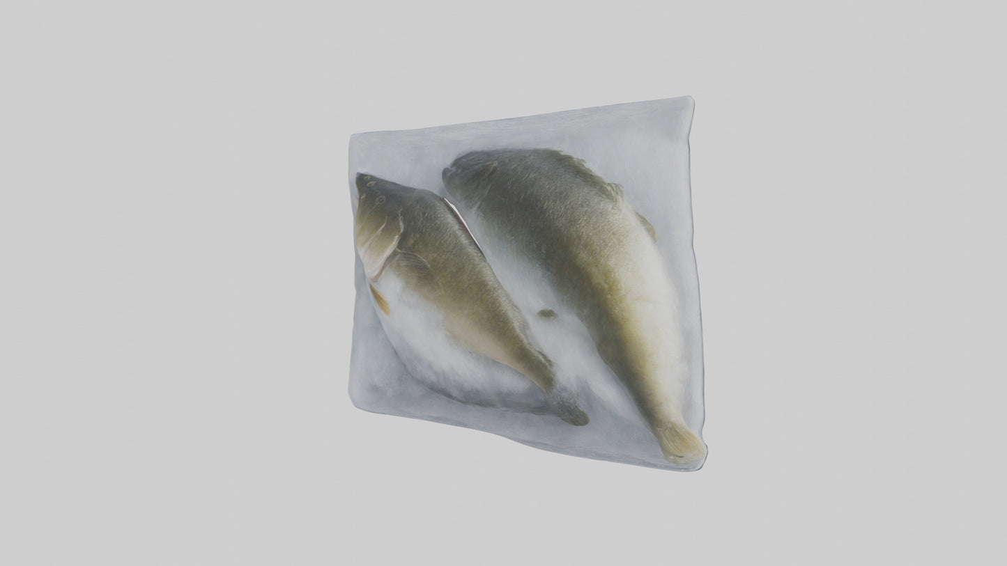 Frozen Cod Pack model 3D model