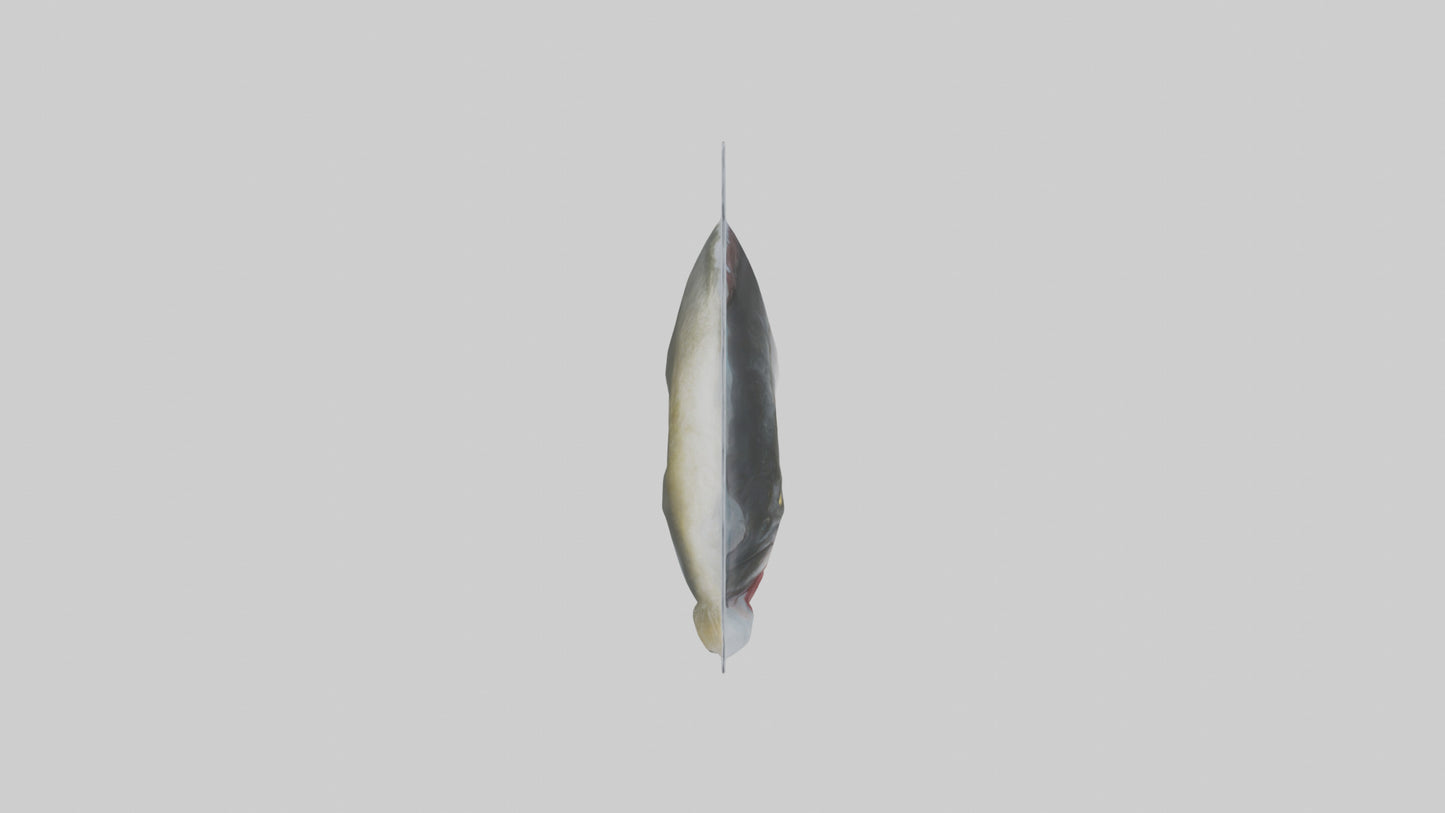 Frozen Cod Pack model 3D model
