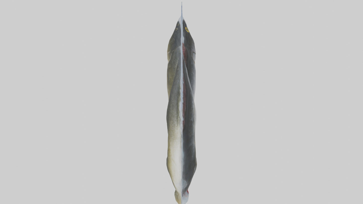 Frozen Cod Pack model 3D model