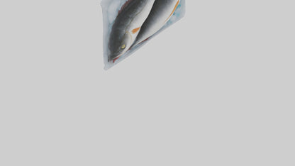 Frozen Cod Pack model 3D model