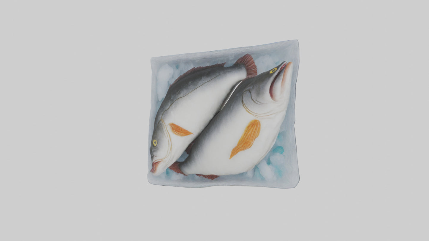 Frozen Cod Pack model 3D model