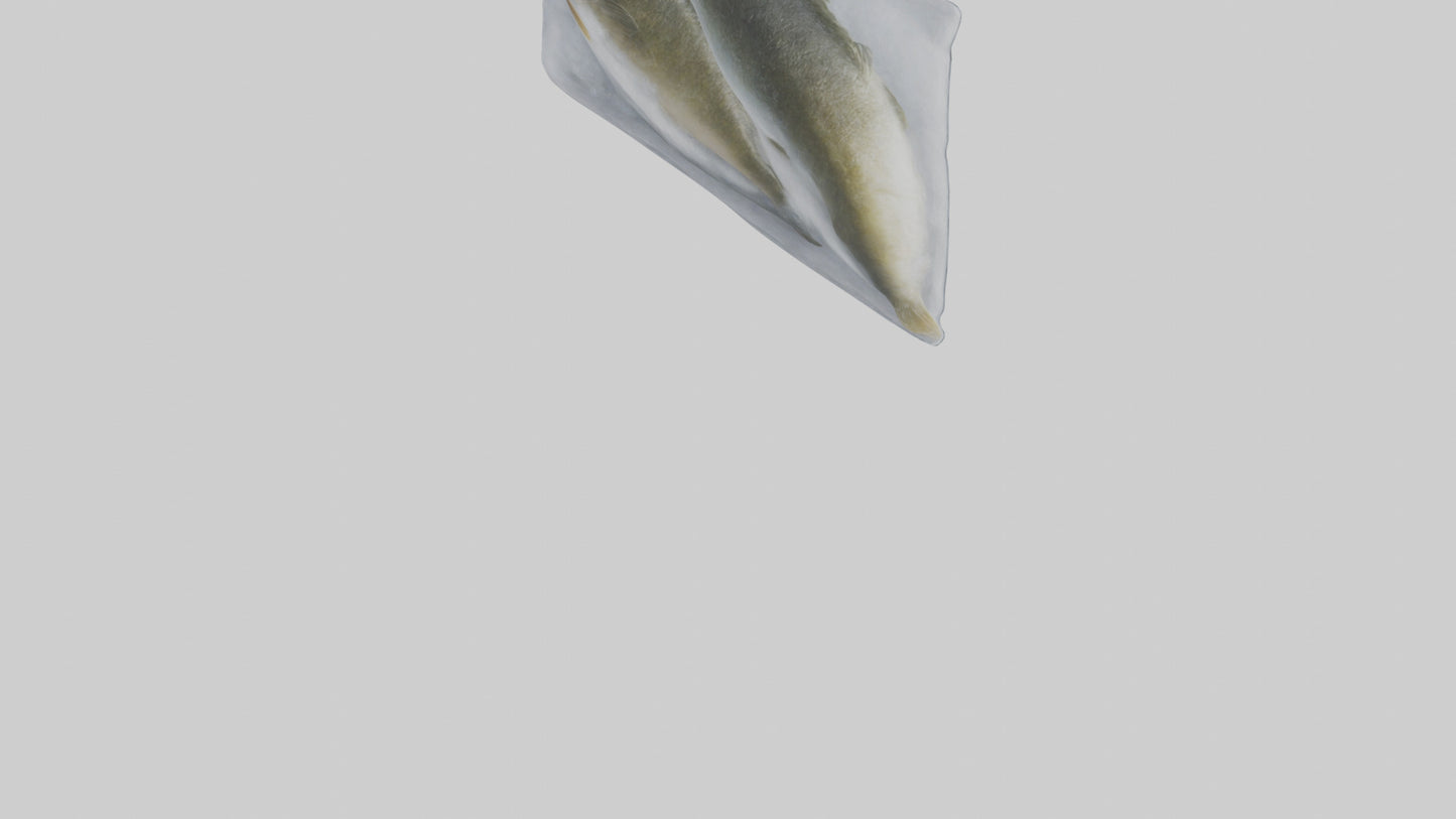 Frozen Cod Pack model 3D model