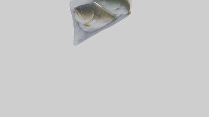Frozen Cod Pack model 3D model