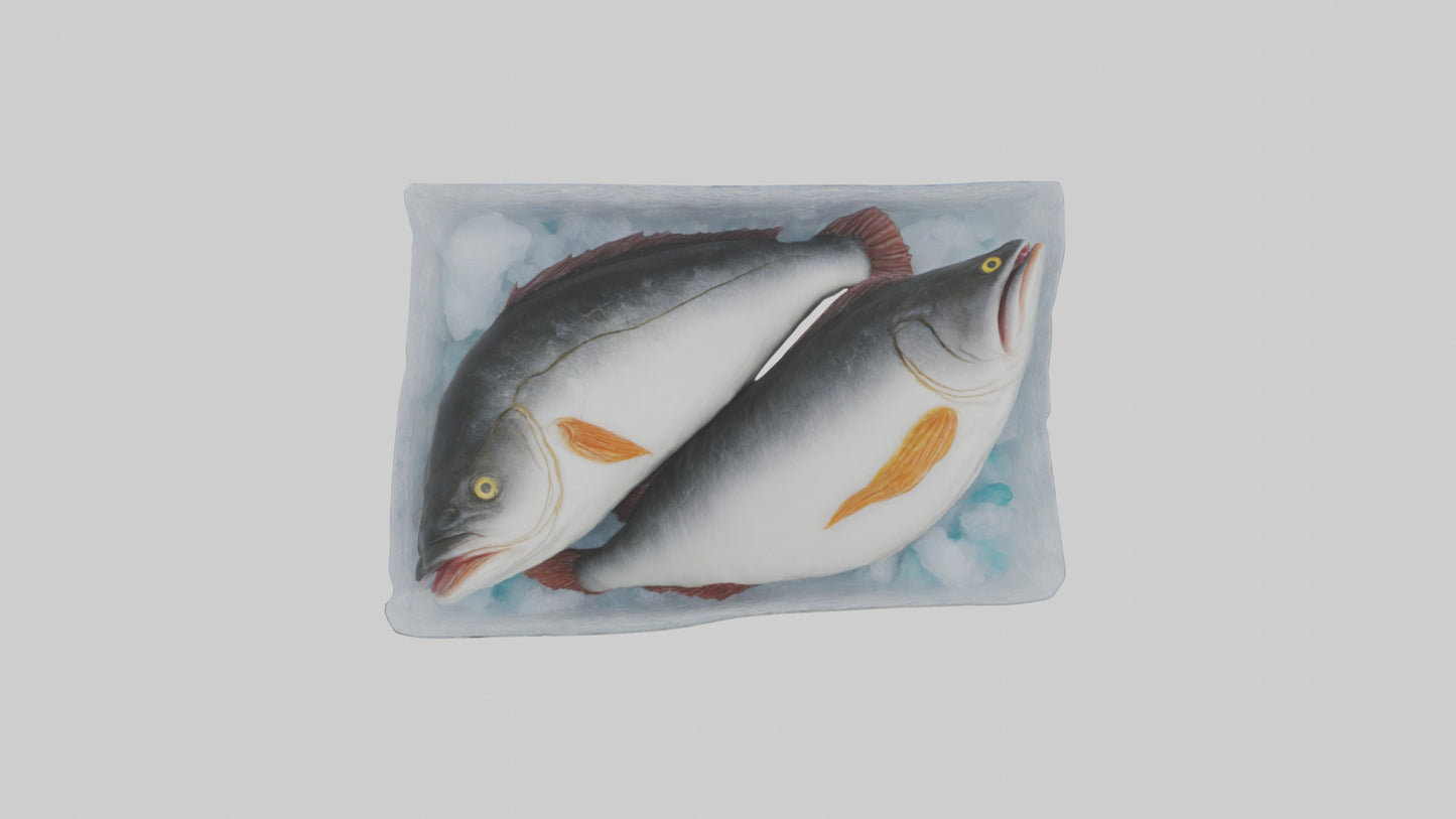 Frozen Cod Pack model 3D model
