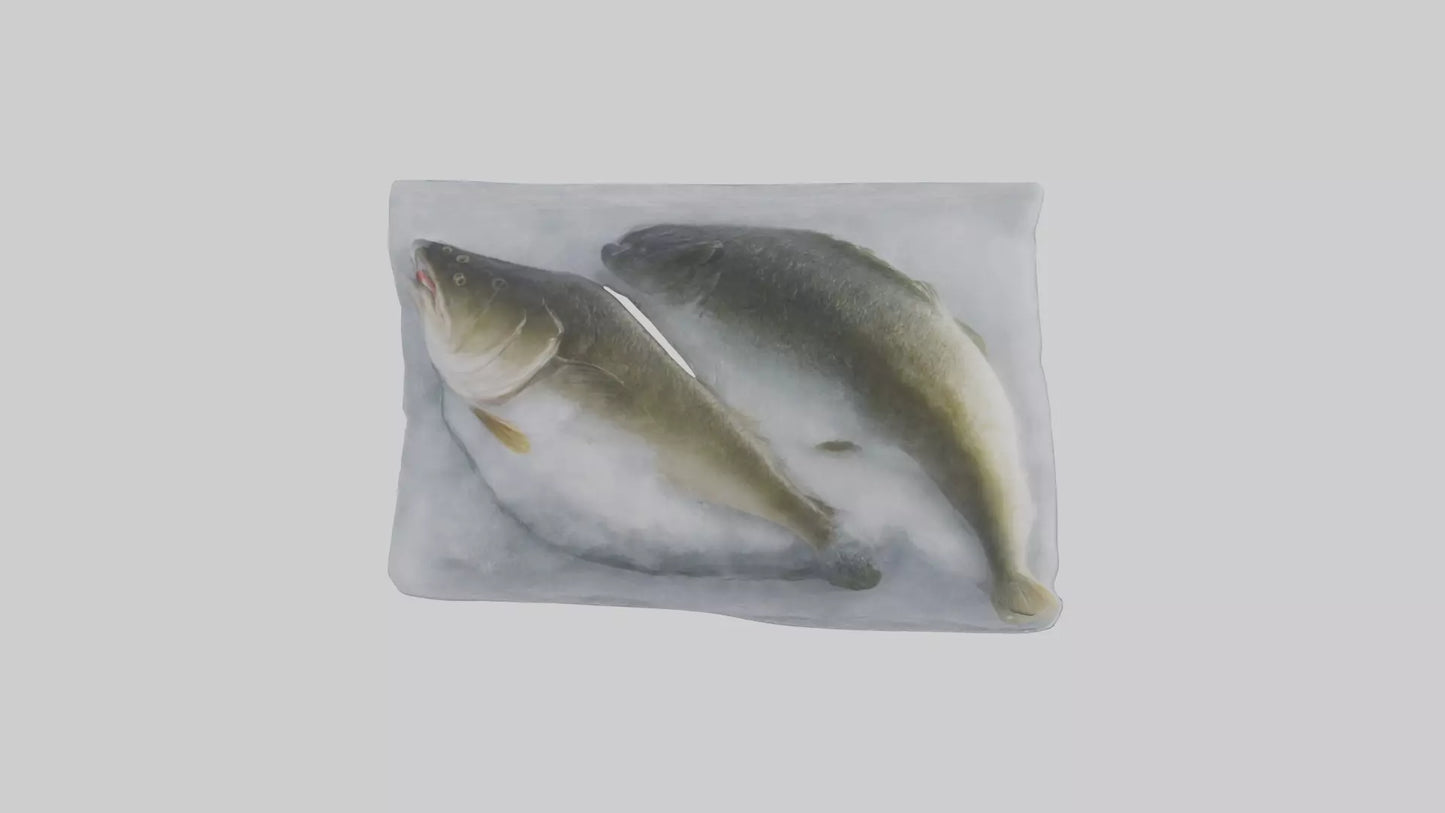 Frozen Cod Pack model 3D model