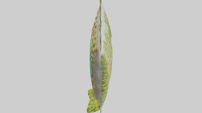 Frozen Edamame Pack model VR / AR / low-poly