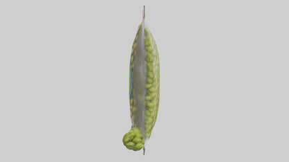 Frozen Edamame Pack model VR / AR / low-poly