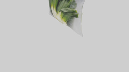 Frozen Leeks Pack model 3D model