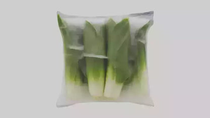 Frozen Leeks Pack model 3D model