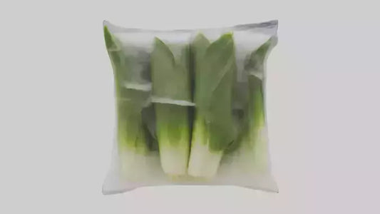 Frozen Leeks Pack model 3D model