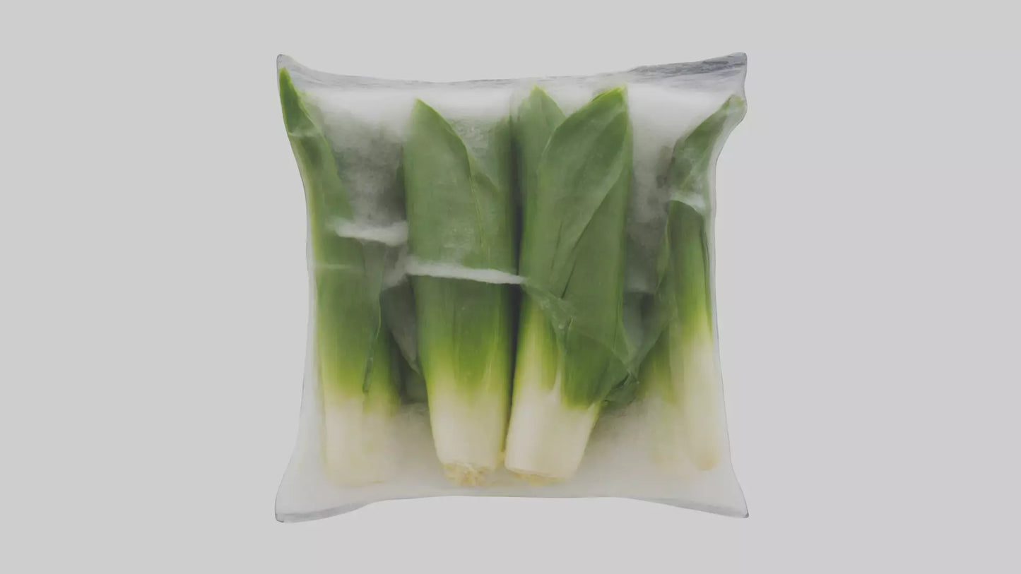 Frozen Leeks Pack model 3D model