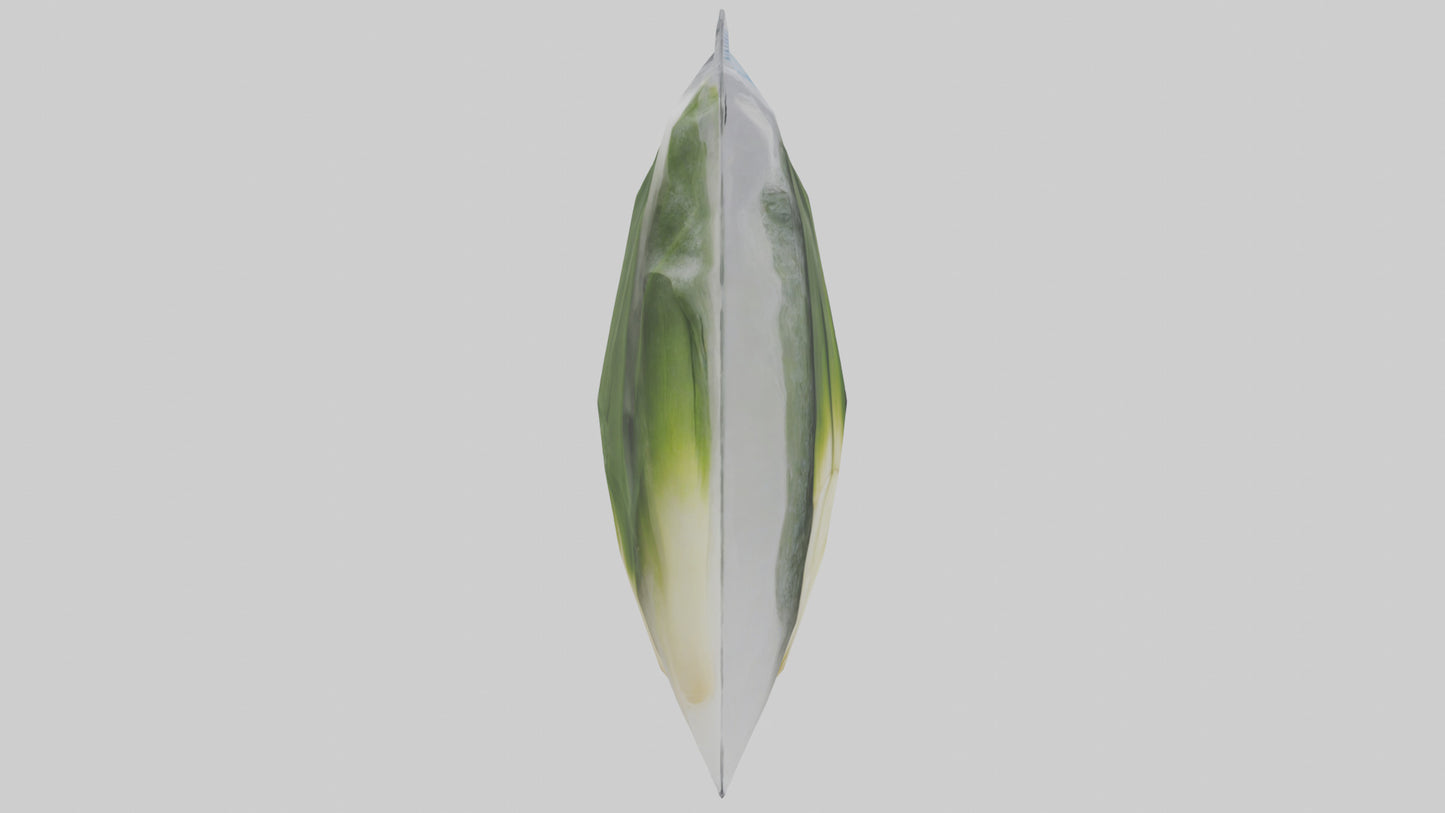 Frozen Leeks Pack model 3D model