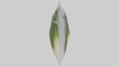 Frozen Leeks Pack model 3D model