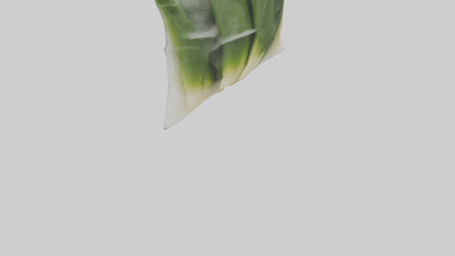Frozen Leeks Pack model 3D model