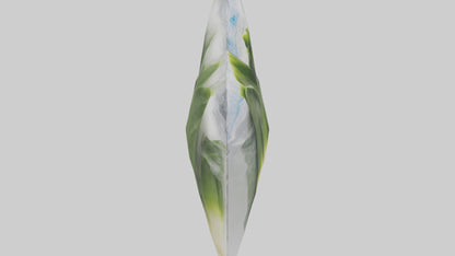 Frozen Leeks Pack model 3D model
