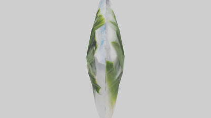 Frozen Leeks Pack model 3D model