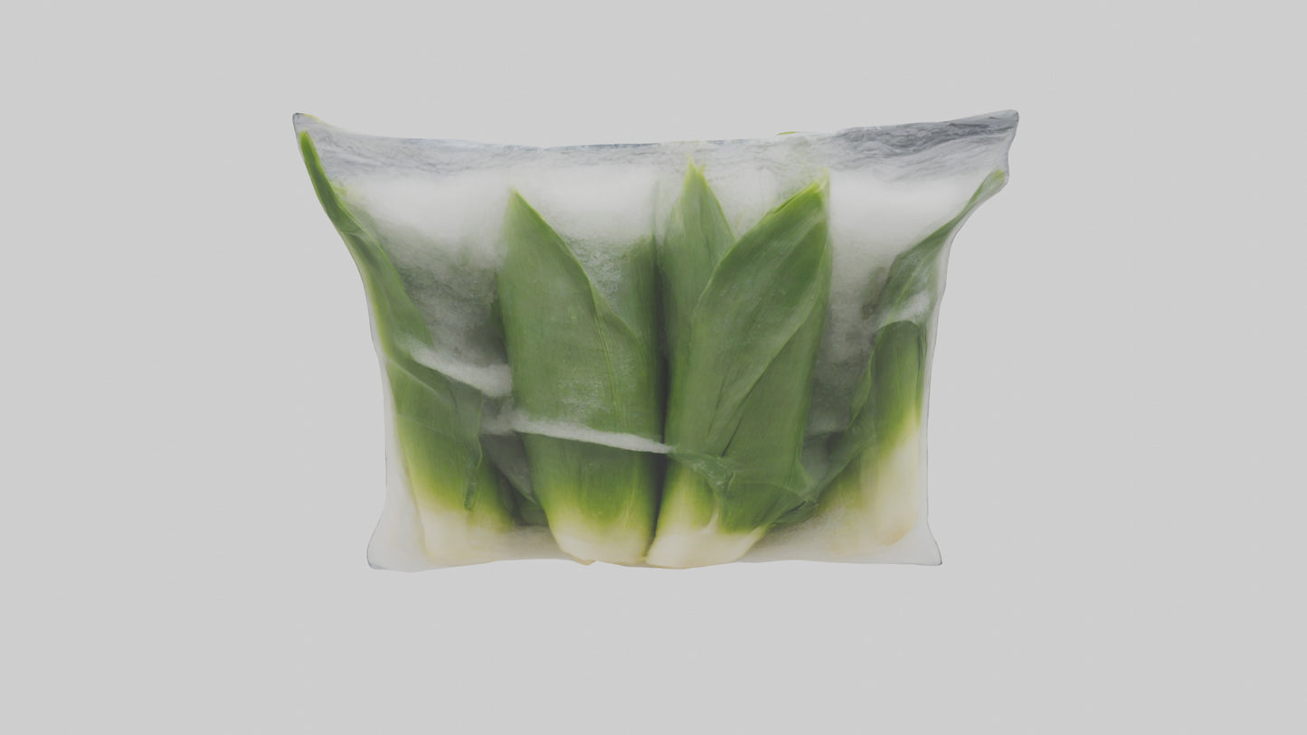 Frozen Leeks Pack model 3D model