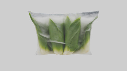 Frozen Leeks Pack model 3D model