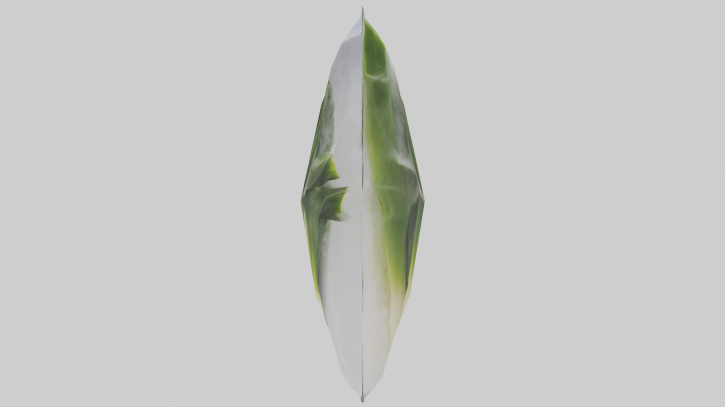 Frozen Leeks Pack model 3D model
