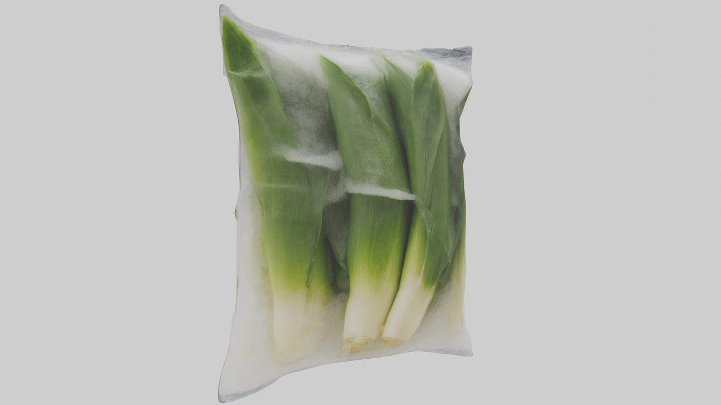 Frozen Leeks Pack model 3D model