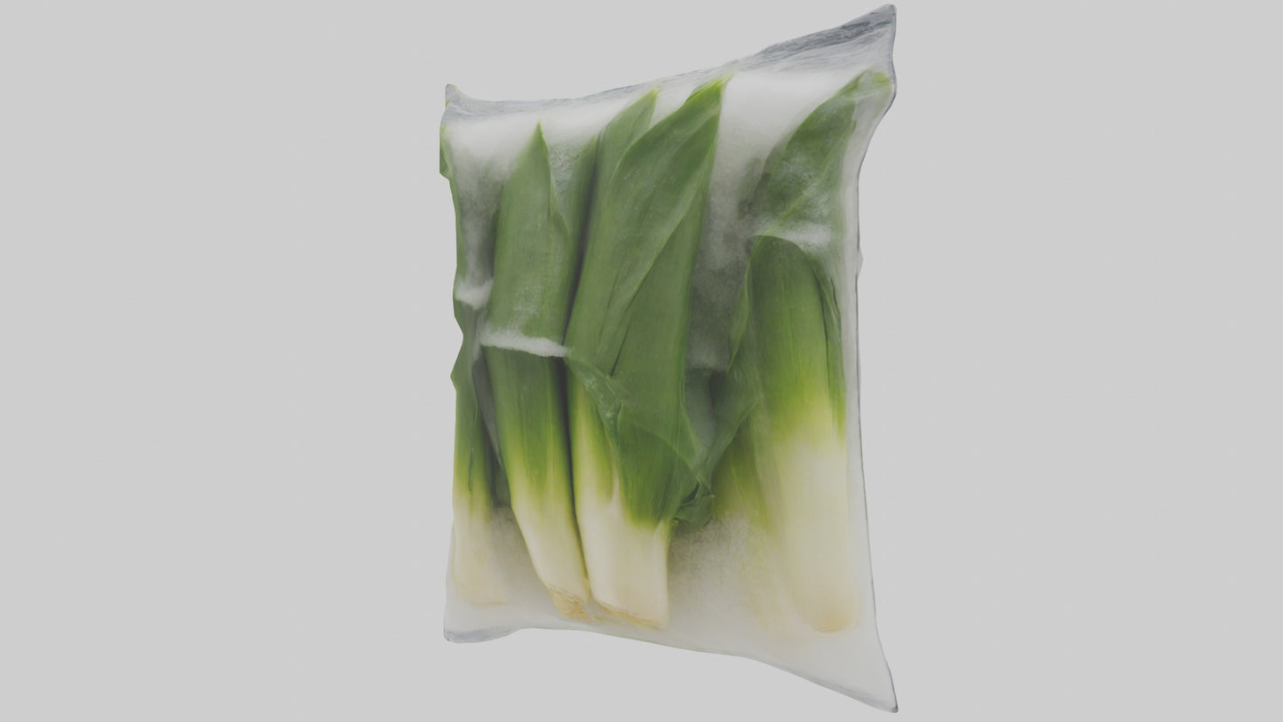 Frozen Leeks Pack model 3D model