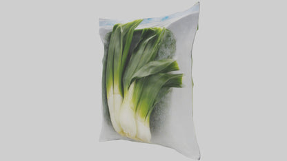 Frozen Leeks Pack model 3D model